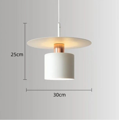 Aero Slim cylinder pendant light in matte white with wide flat disc shade and copper accent collar showing dimensions 25cm height by 30cm diameter on a neutral grey background — LivDecor
